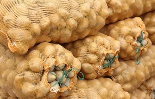 Купити картоплю в Україні стає все складніше, - ціни знову зросли фото, ілюстрація