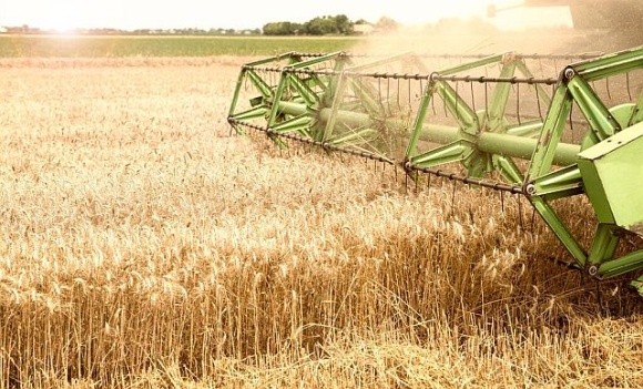 Мінекономіки підписало наказ про виділення 150 млн грн для аграріїв фото, ілюстрація