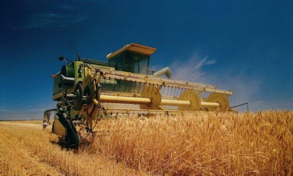 Україна може вдвічі збільшити урожайність зернових - УЗА фото, ілюстрація