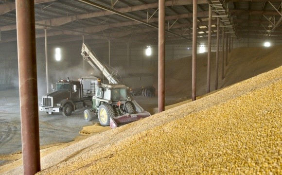 ДПЗКУ прийняла на зберігання втричі більше зерна нового врожаю, ніж торік  фото, ілюстрація