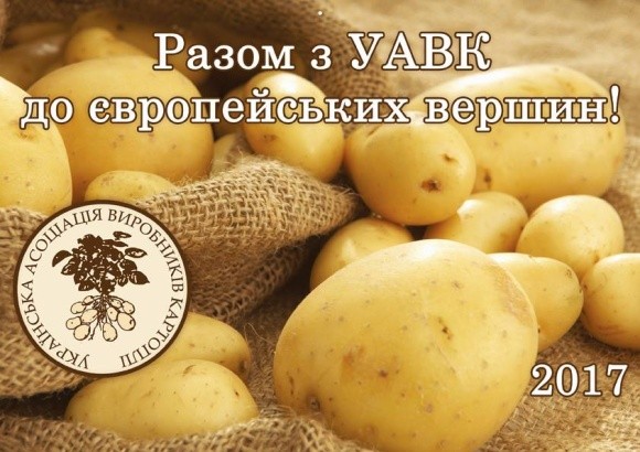Асоціація виробників картоплі шукає ринки збуту в сусідніх країнах фото, ілюстрація
