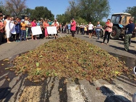 В Одеській області фермери на знак протесту вивантажили на трасу машину винограду  фото, ілюстрація