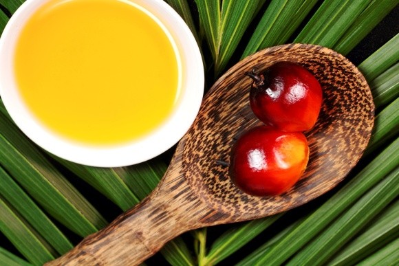 Український уряд розглядає питання про заборону пальмової олії в продуктах харчування фото, ілюстрація