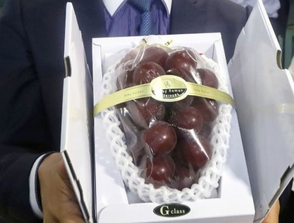 В Японії гроно винограду продали за рекордні $12 тисяч фото, ілюстрація