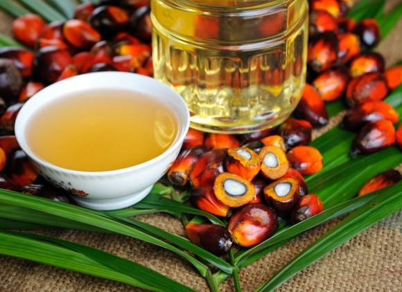 Ухвалення заборони використання пальмової олії очікується восени фото, ілюстрація