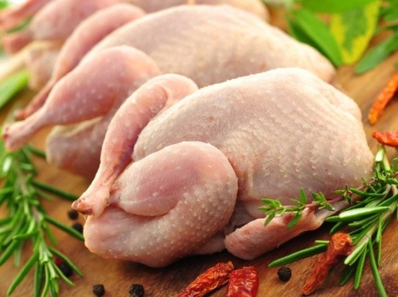 Європарламент підтримав збільшення квот для українських експортерів м’яса птиці фото, ілюстрація