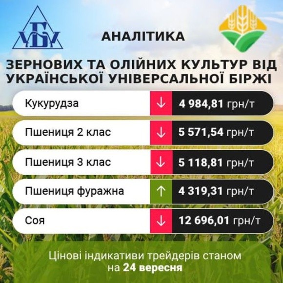 Цінові індикативи зернових та олійних за 18-24 вересня фото, ілюстрація