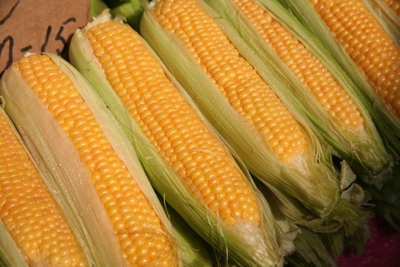 Україна на 100% вичерпала квоти ЄС на поставку кукурудзи та пшениці фото, ілюстрація