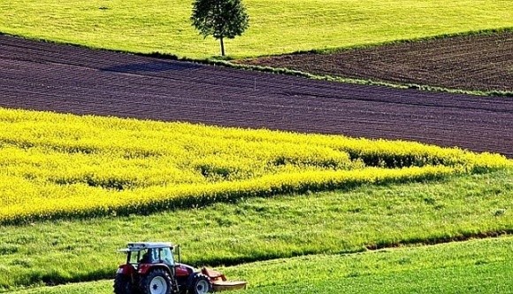 В ДАР закінчили приймати заявки на субсидії на 1 га сільгоспугідь для аграріїв з деокупованих територій фото, ілюстрація