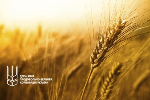 АТ «ДПЗКУ» змінило порядок закупівлі зернових фото, ілюстрація