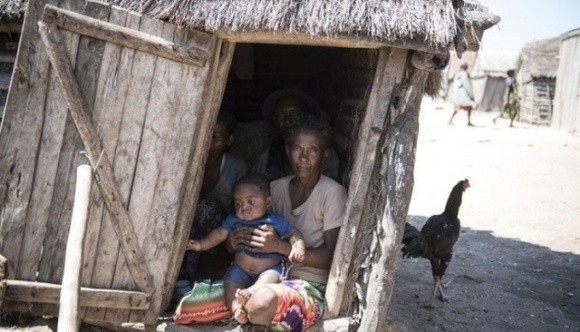 Надзвичайна посуха через зміни клімату призвела до голоду на Мадагаскарі: люди їдять кактуси та сарану фото, ілюстрація