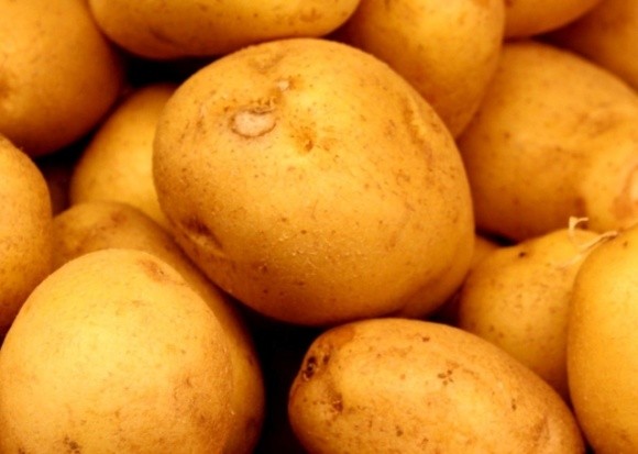  Картопляний колапс на півдні України стався через неякісну картоплю фото, ілюстрація