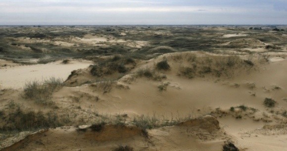 «Ризикує перетворитися на пустелю»: вчені спрогнозували, як зміниться клімат в Україні в найближчі 100 років фото, ілюстрація