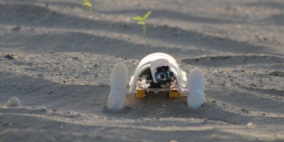 В Дубае создали крошечного робота, который высаживает семена в пустыне фото, иллюстрация