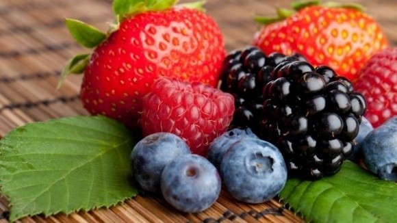 International Trade Centre допоможе вивести українські ягоди на світовий ринок  фото, ілюстрація
