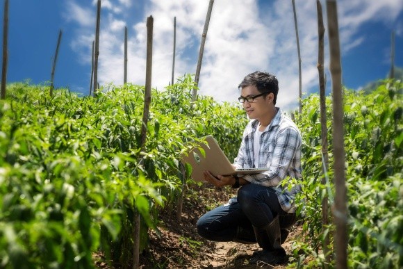 Компанія «Байєр» запускає онлайн-курс навчання з Належної практики сільського господарства фото, ілюстрація