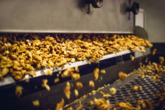 У Вінницькій області компанія «Український волоський горіх» почне будувати завод із переробки горіха фото, ілюстрація