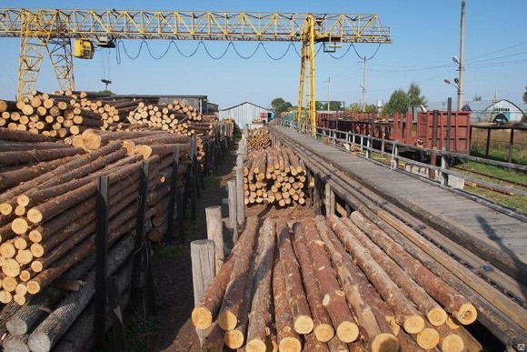 ЄС готова заплатити, щоб Україна скасувала мораторій на експорт лісу, - нардеп фото, ілюстрація