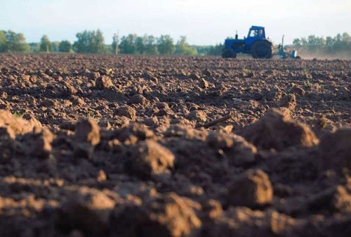 Польща втратила третину врожаю сільгоспкультур через посуху фото, ілюстрація