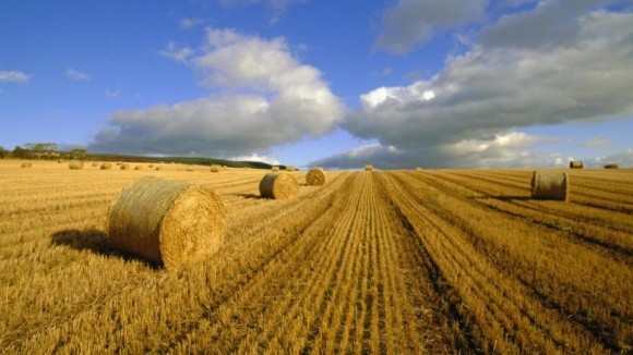 Фермери володіють 10% всіх аграрних земель в Україні фото, ілюстрація