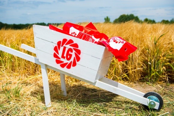 "Лімагрейн Україна" планує інвестувати в селекцію пшениці фото, ілюстрація