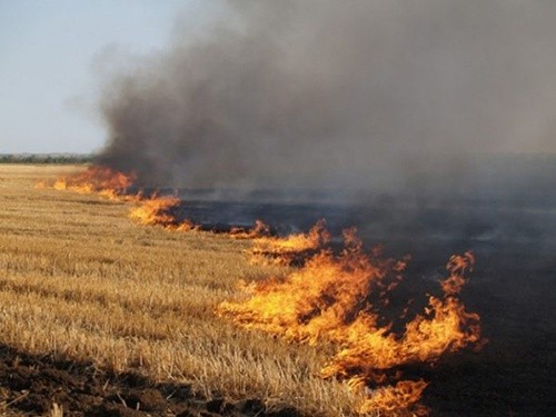 На Кіровоградщині згоріло 19 га пшеничного поля фото, ілюстрація