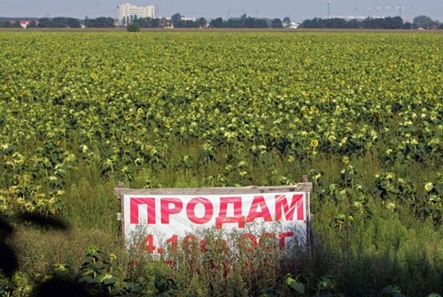 Половина українців вважають, що власник землі повинен мати право її продати, – опитування фото, ілюстрація