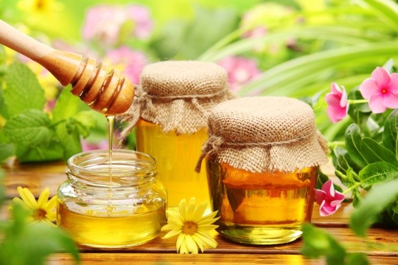Україна займає перше місце в Європі за обсягом виробництва меду фото, ілюстрація