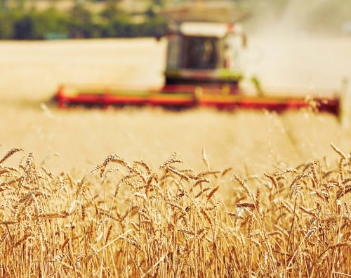 У 2018 році вітчизняні аграрії встановили абсолютний рекорд за обсягами експорту сільгосппродукції, – Микола Пугачов фото, ілюстрація