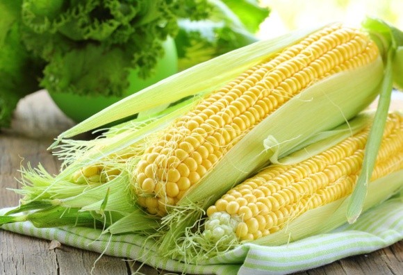 Україна очікує рекордного врожаю кукурудзи, а також росту продажів у Китай фото, ілюстрація