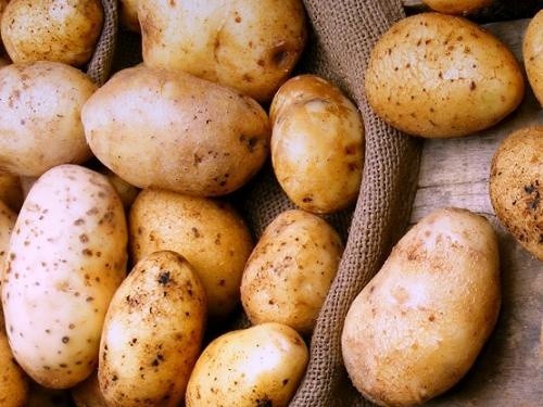 Черговий виток зростання цін на картоплю відзначений в Україні фото, ілюстрація