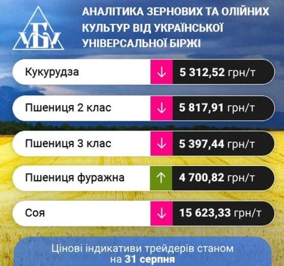 Проміжні підсумки цінових індикативів 28-31 серпня фото, ілюстрація