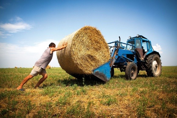 70% агропідприємств України – фермерства фото, ілюстрація