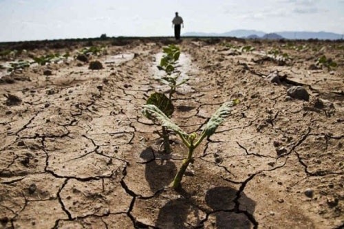 В Україні 50% с/г земель знаходяться в стані посухи, - Укргідрометеоцентр фото, ілюстрація