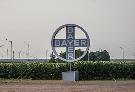 Bayer відкриє доступ до своїх напрацювань про рослини всім вченим фото, ілюстрація
