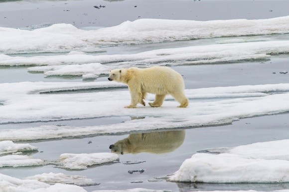 Екстремально спекотне літо прискорило танення льодовиків в Арктиці фото, ілюстрація
