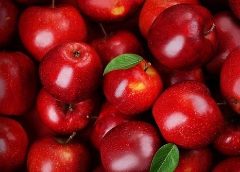 Українські садівники прогнозують істотне скорочення врожаю яблук фото, ілюстрація