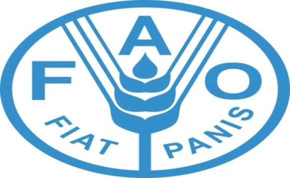 FAO підтримала прийняття нового глобального стандарту торгівлі фото, ілюстрація