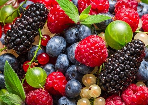Які ягоди вигідно вирощувати в Україні фото, ілюстрація