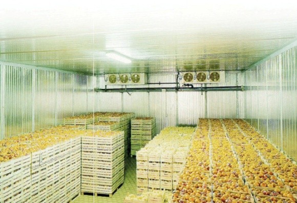 Аграриям советуют не покупать дешевое эксплуатируемое холодильное оборудование из ЕС фото, иллюстрация