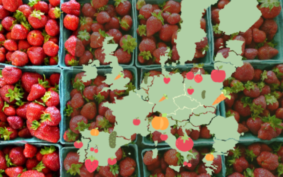 Названо найпопулярніші фрукти та овочі в ЄС фото, ілюстрація