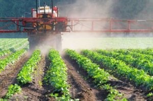 Кабмін спростив ввезення в Україну незареєстрованих пестицидів і агрохімікатів фото, ілюстрація