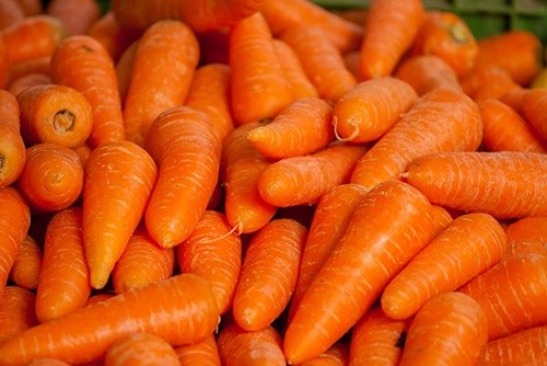 Яку моркву варто вирощувати в Україні фото, ілюстрація