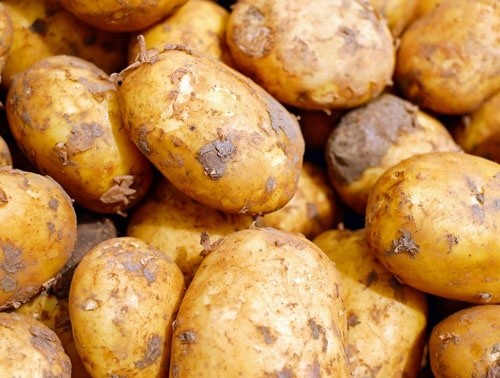 Коли в Україні почне дешевшати картопля фото, ілюстрація