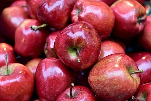 За три місяці нового сезону Україна імпортувала яблука більше ніж експортувала фото, ілюстрація