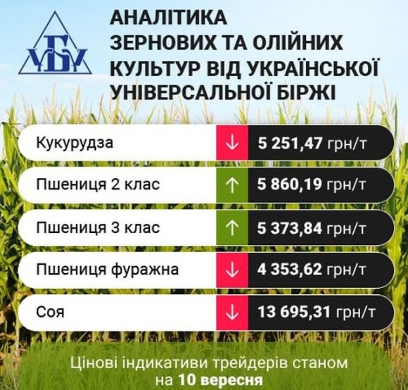 Цінові індикативи зернових та олійних за 4-10 вересня фото, ілюстрація