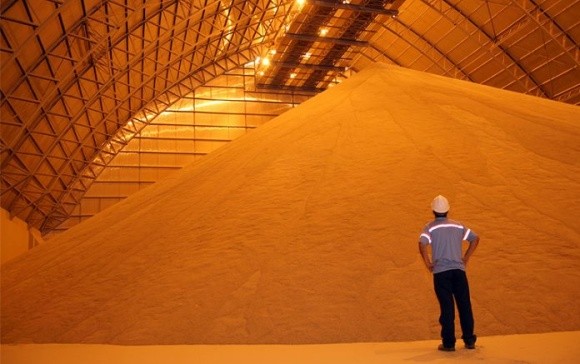 Запаси зерна в Україні збільшилися на 10,4% фото, ілюстрація