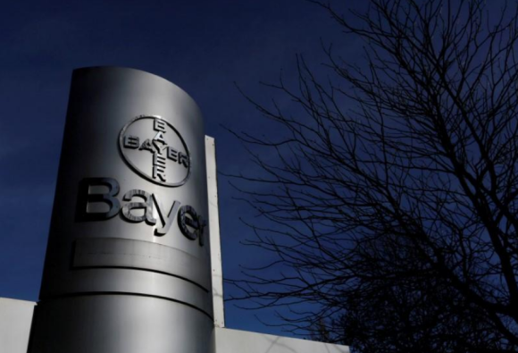 Bayer проводить ексклюзивні переговори з BASF про продаж Nunhems фото, ілюстрація