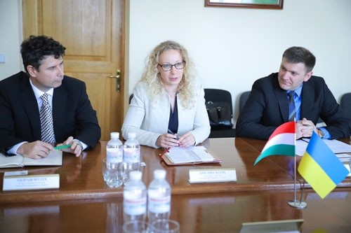 Україна та Угорщина активізують співпрацю в сфері АПК фото, ілюстрація