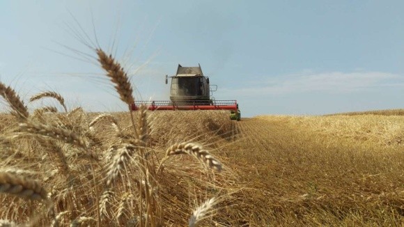 Жнива-2018: зібрано перший мільйон зерна нового врожаю фото, ілюстрація